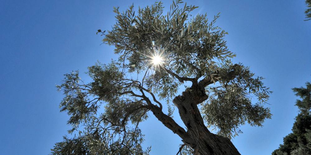 Πρόγνωση καιρού: Βελτιώνεται ο καιρός σήμερα Κυριακή των ...